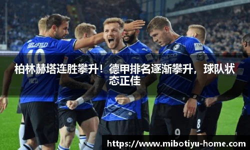 米博体育官网